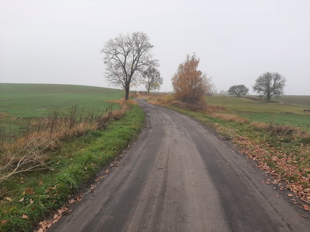 Pola pomiędzy nimi droga oraz rosnące przy niej drzewa.